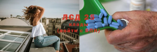 стаф Майский