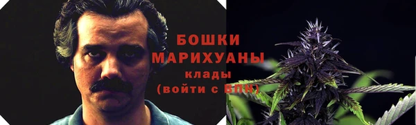 стаф Майский