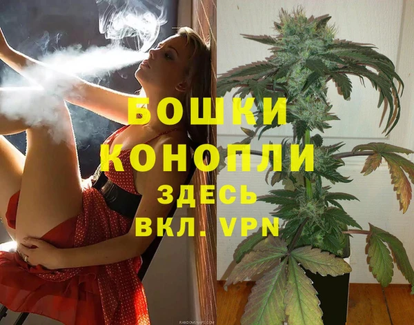 стаф Майский