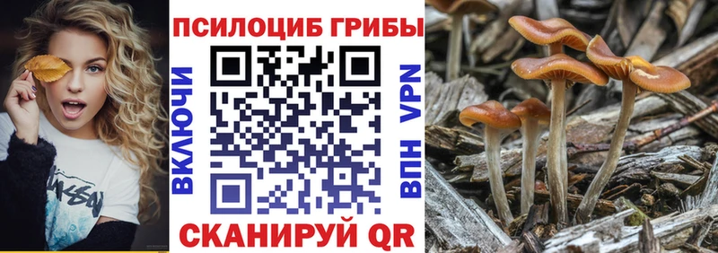 блэк спрут ссылка Яхрома Галлюциногенные грибы ЛСД